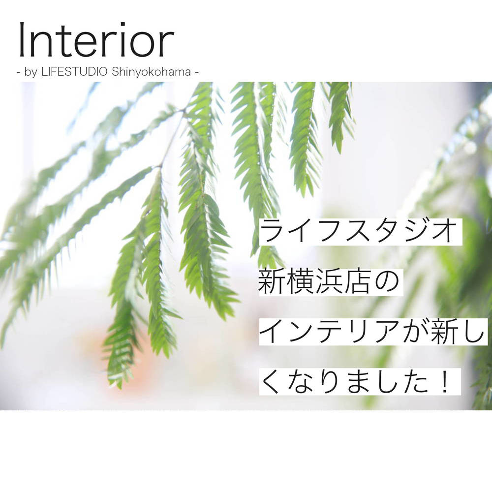 ブログ写真
