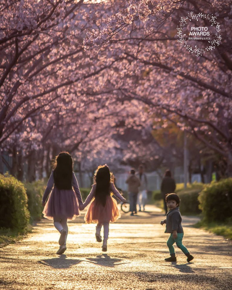 ブログ写真
