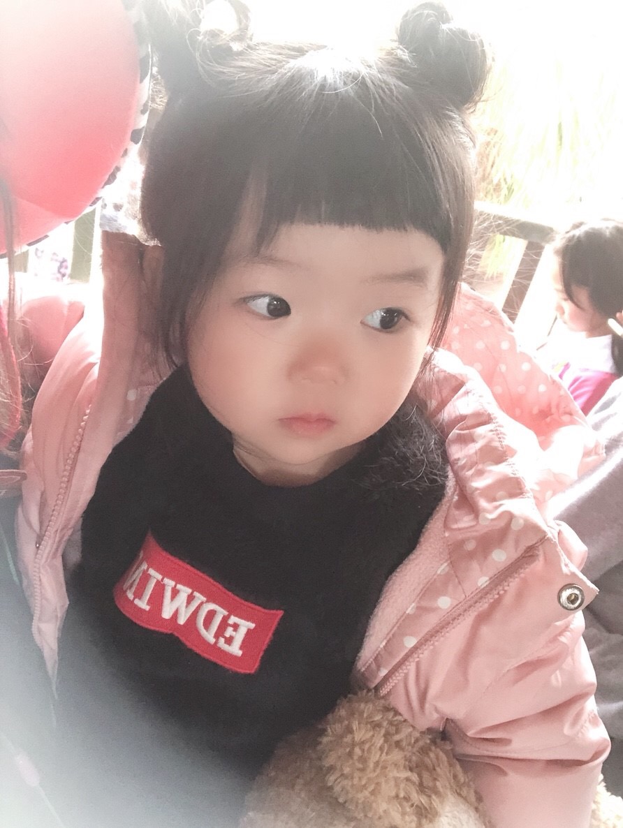 ブログ写真
