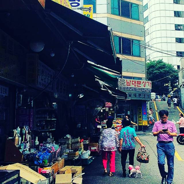 ブログ写真