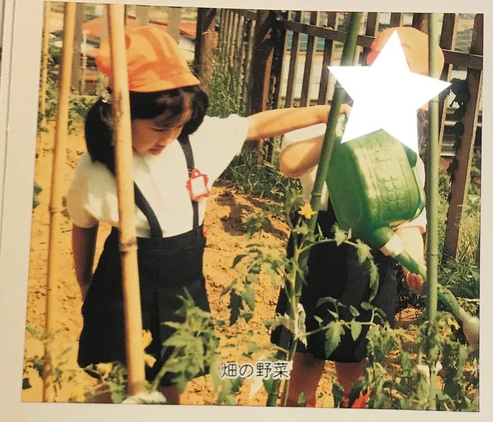 ブログ写真