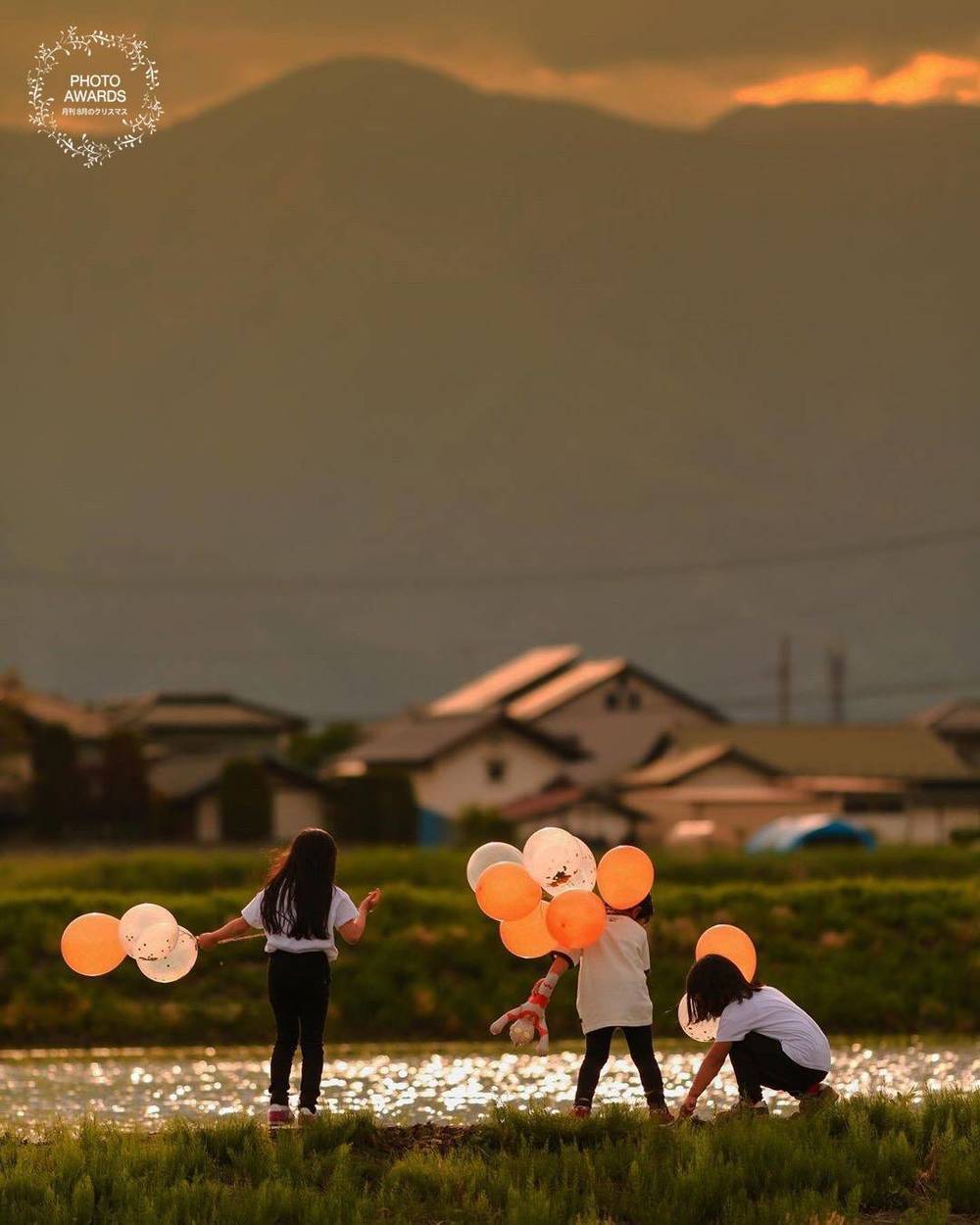 ブログ写真