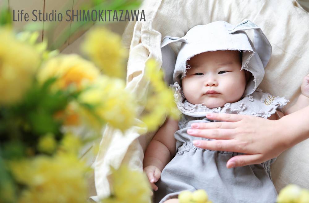 ブログ写真