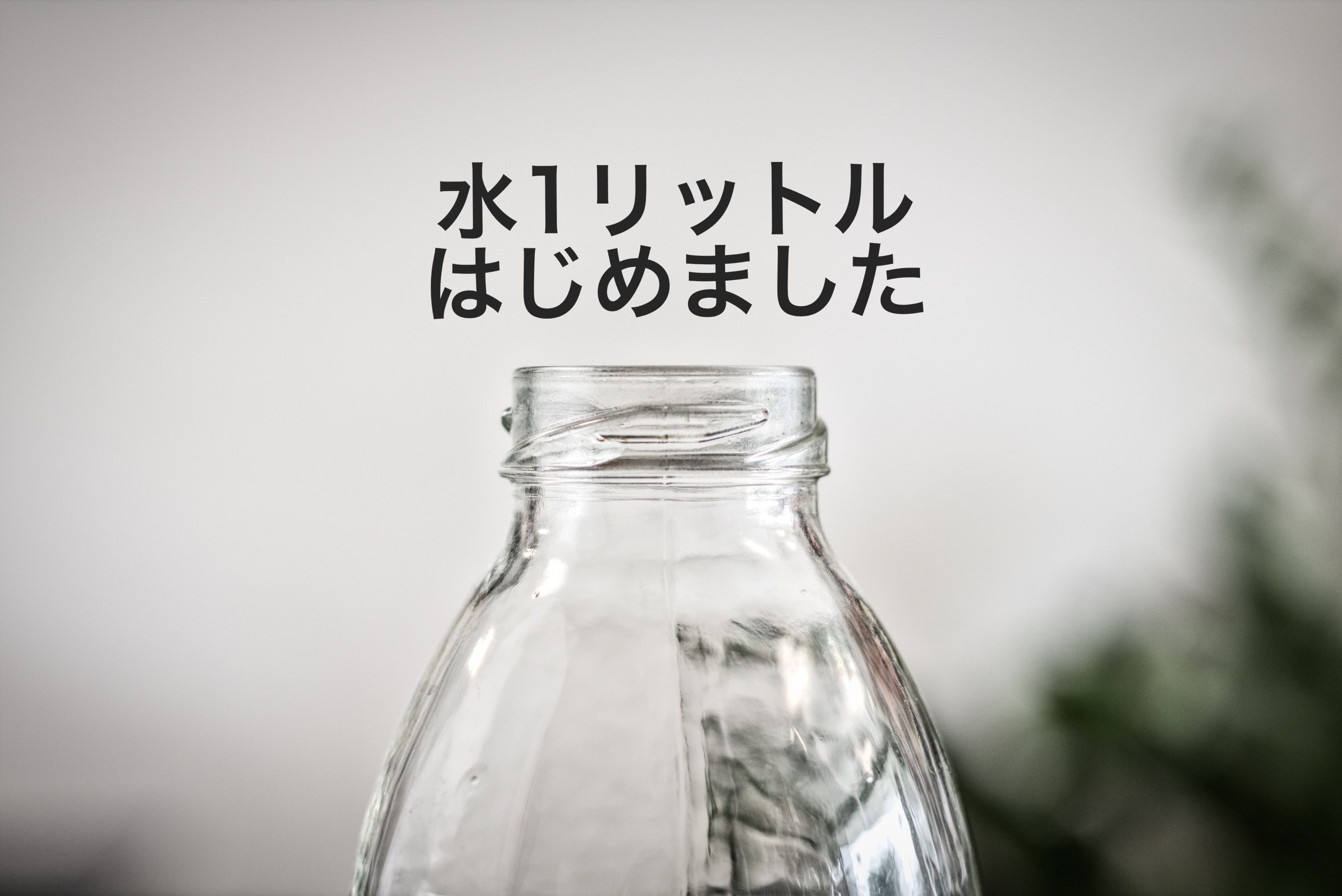 ブログ写真