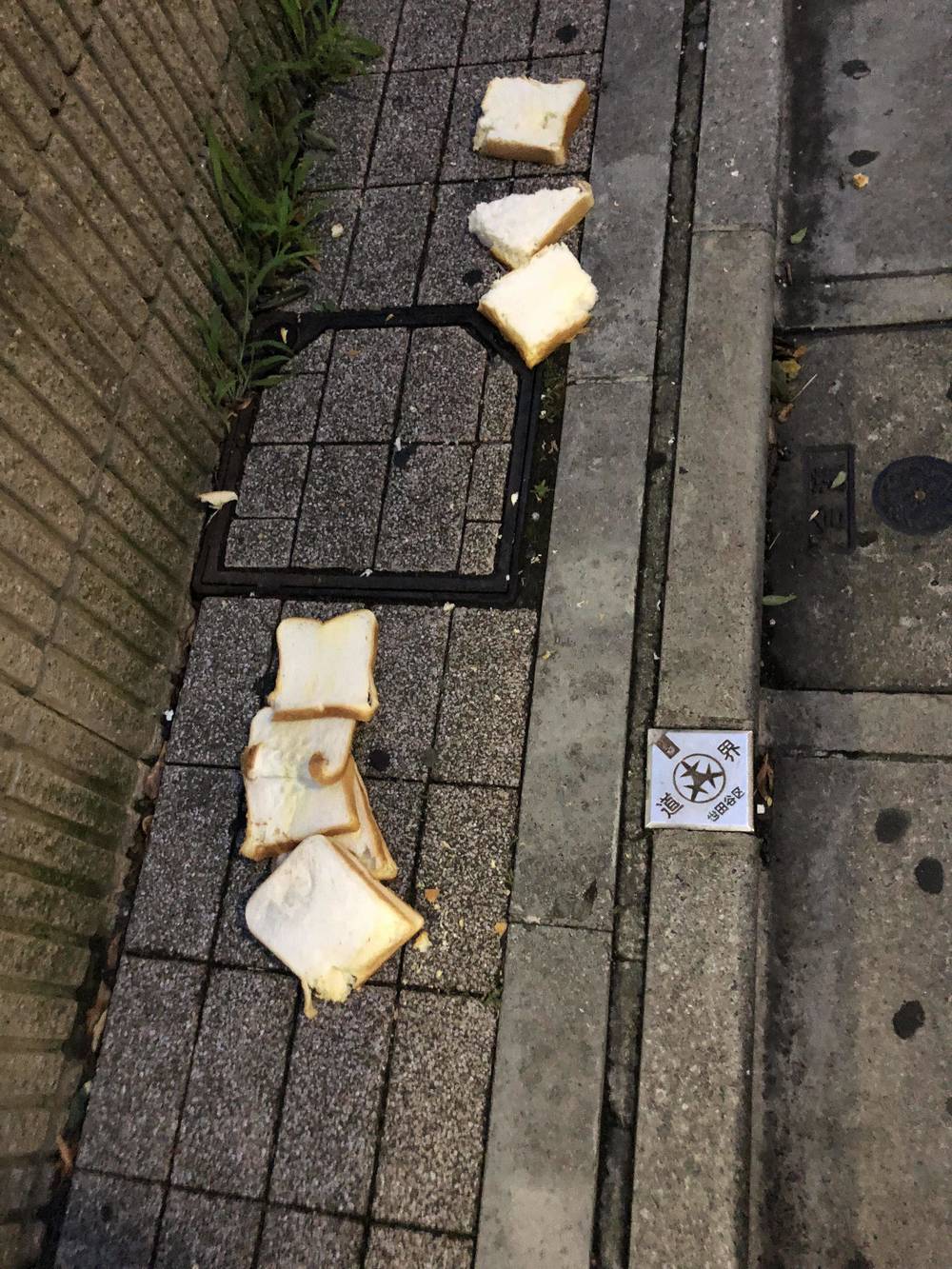 ブログ写真