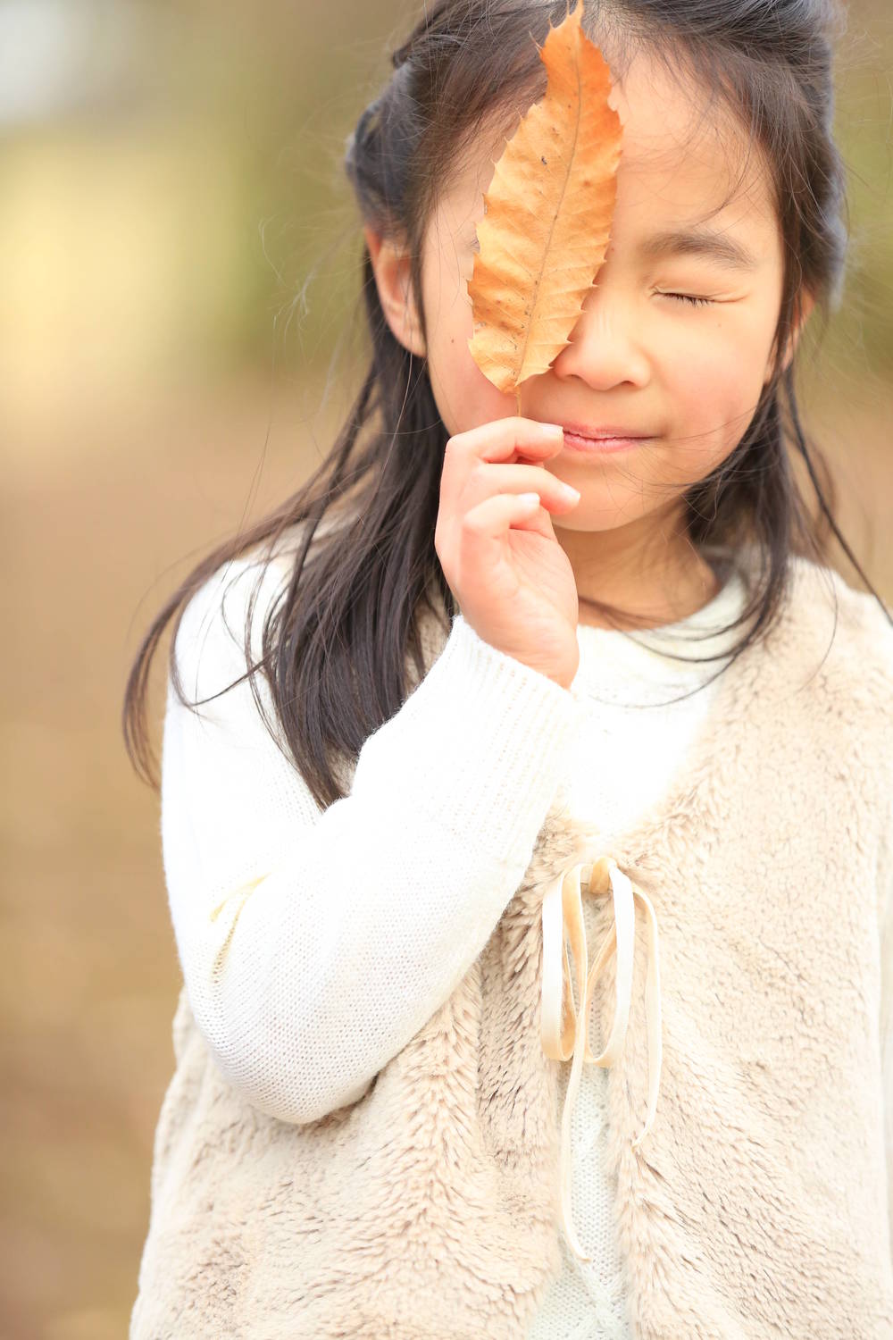 ブログ写真