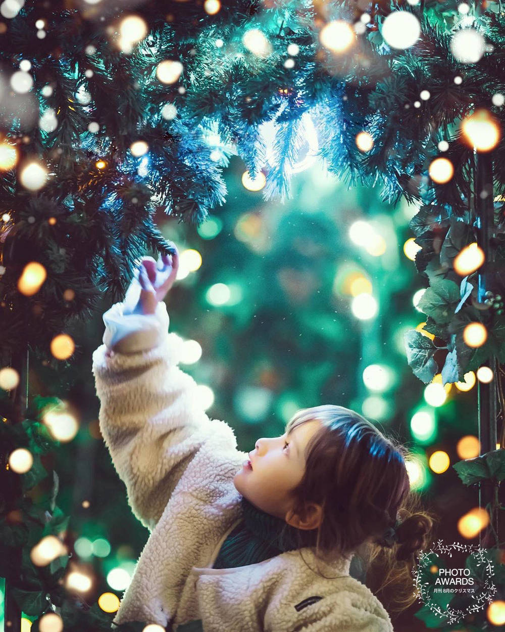 ブログ写真