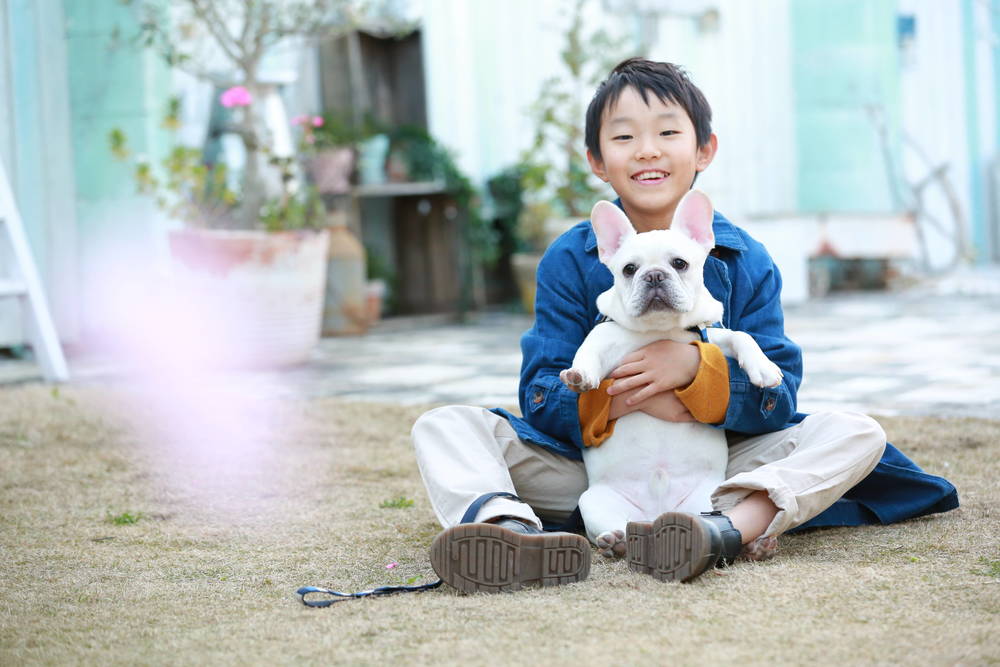 ブログ写真