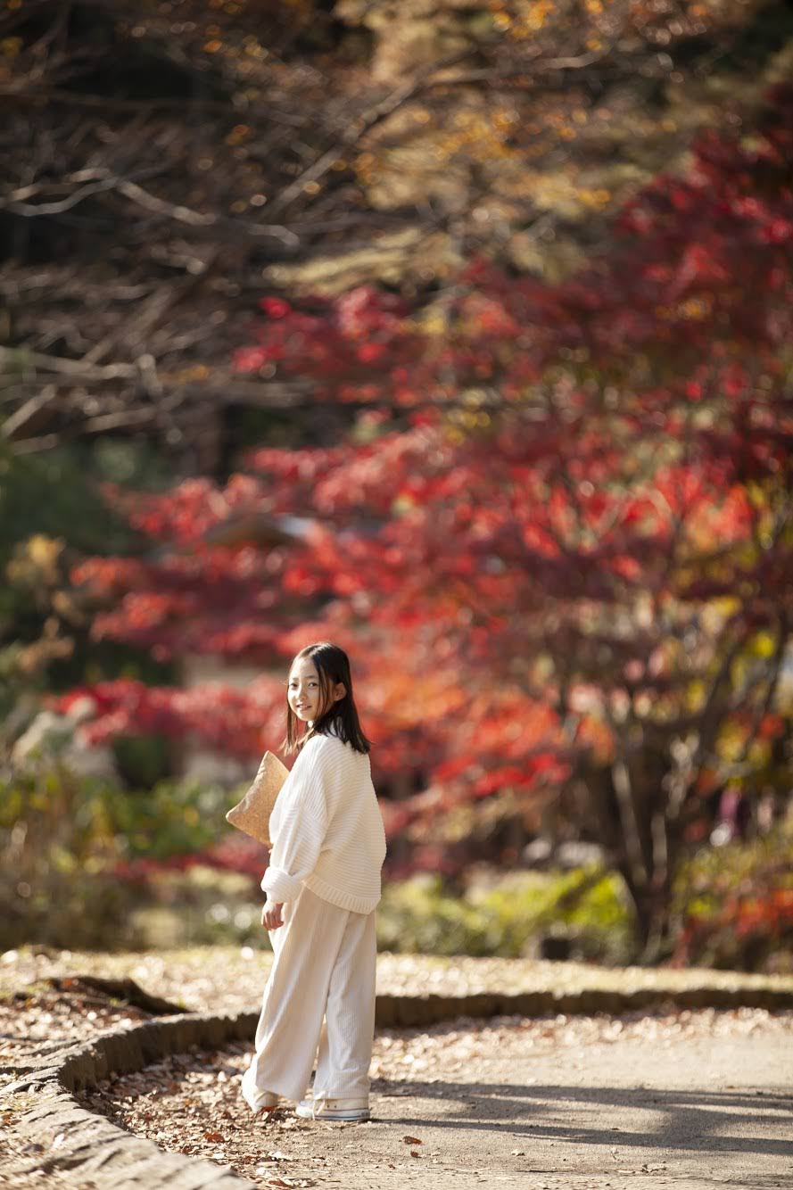 ブログ写真