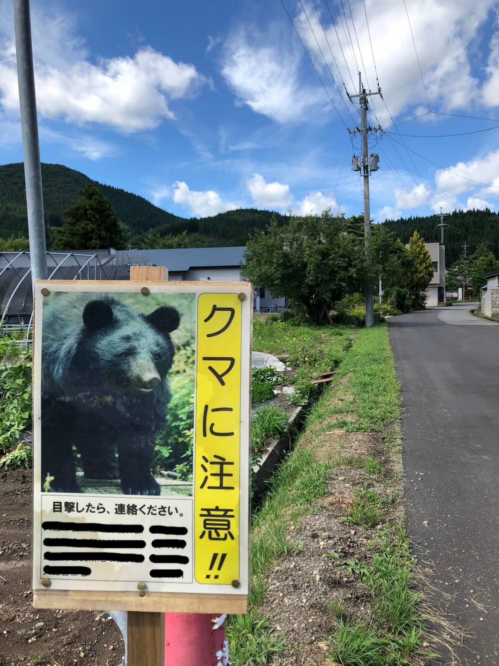 ブログ写真