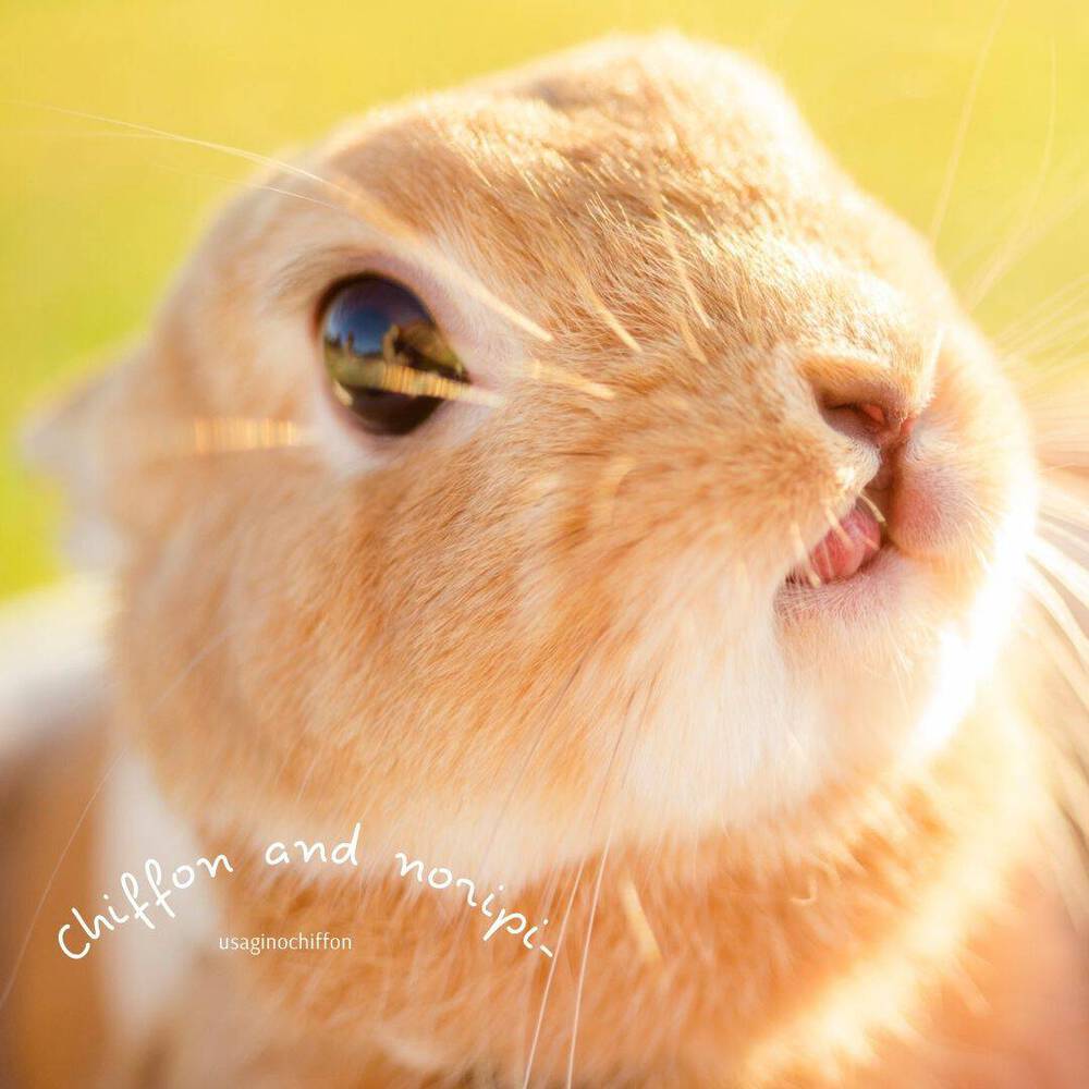 ブログ写真