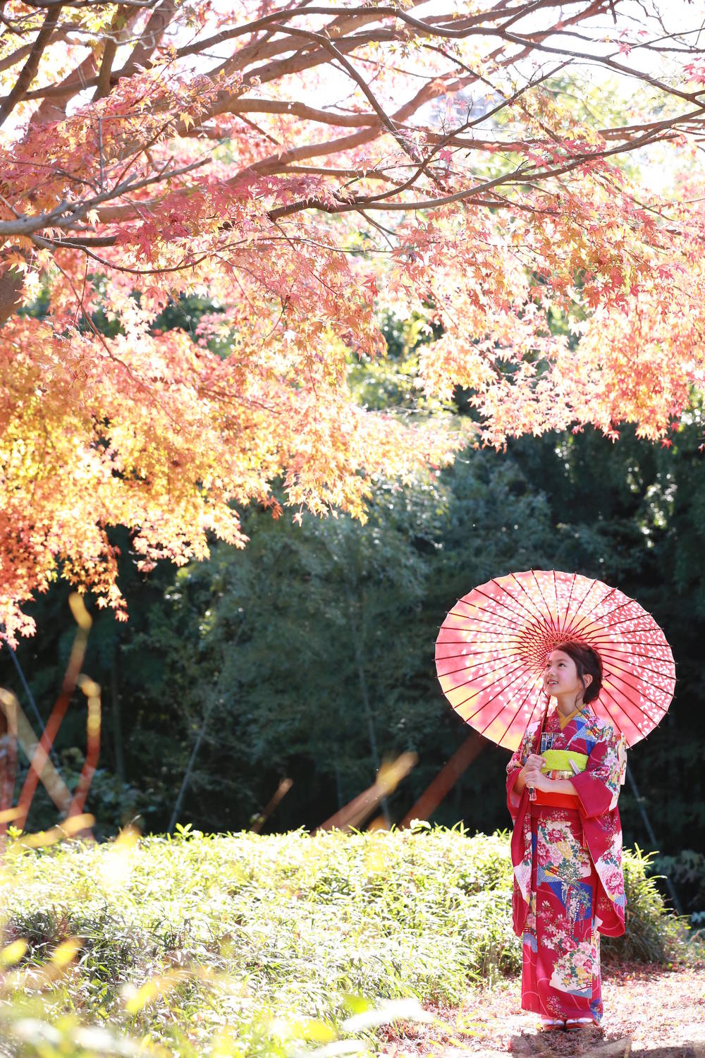 ブログ写真