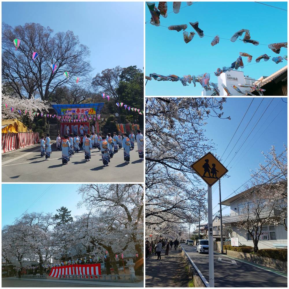 ブログ写真