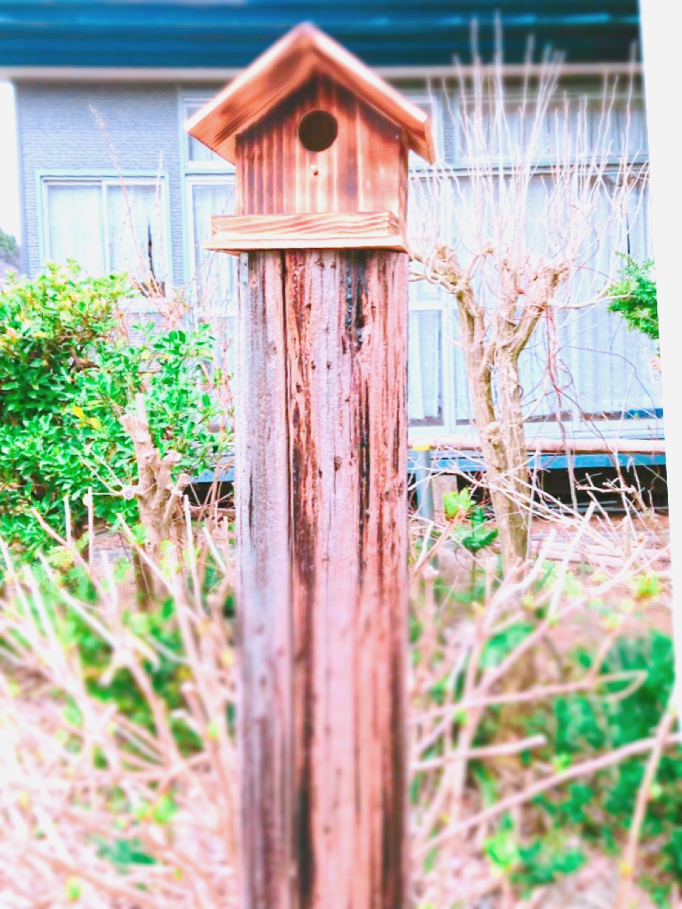 ブログ写真