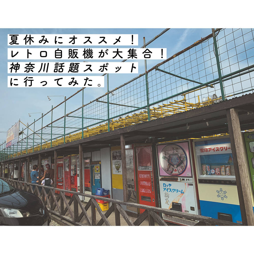 ブログ写真