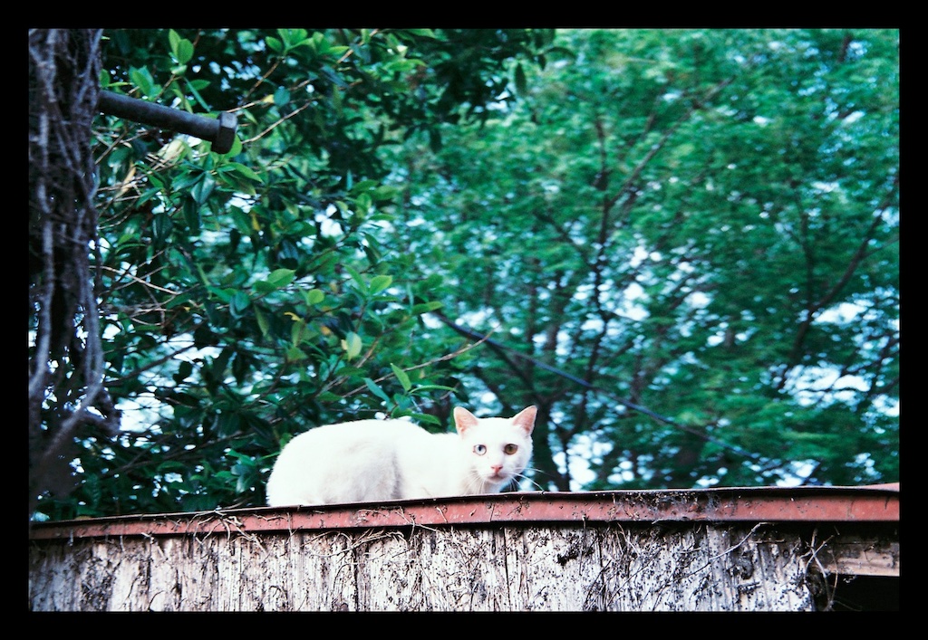 ブログ写真