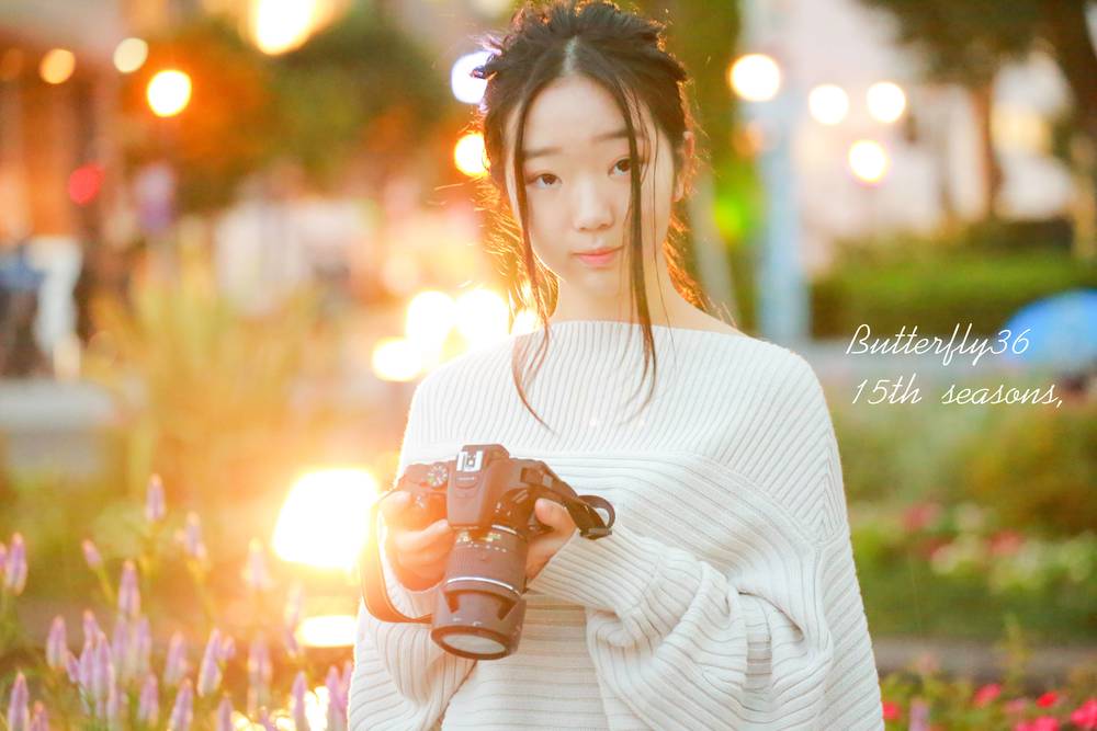 ブログ写真