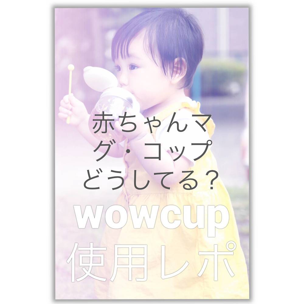 ブログ写真