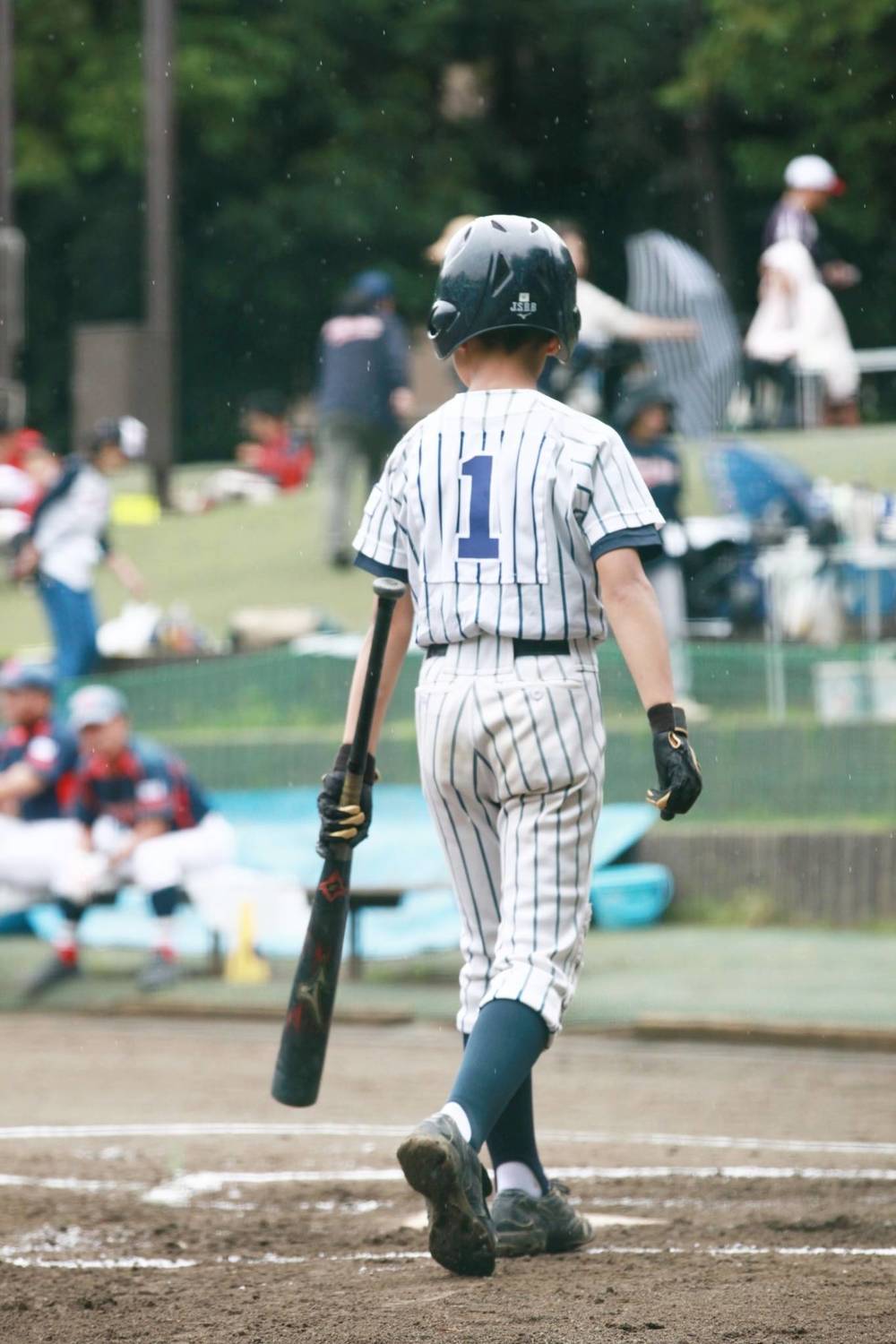 ブログ写真