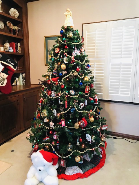 ブログ写真