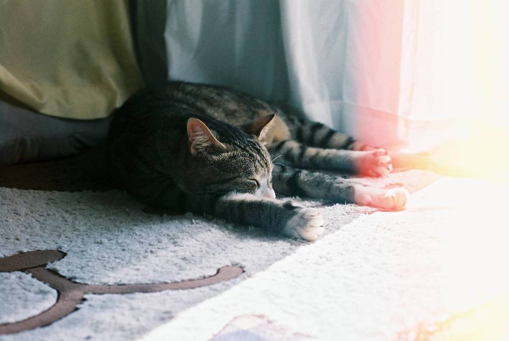 ブログ写真