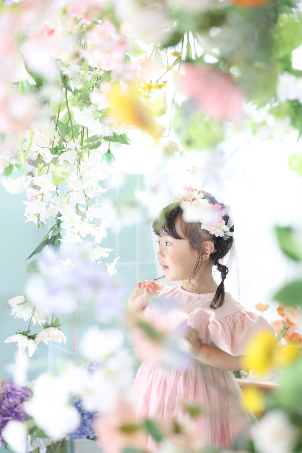 ブログ写真