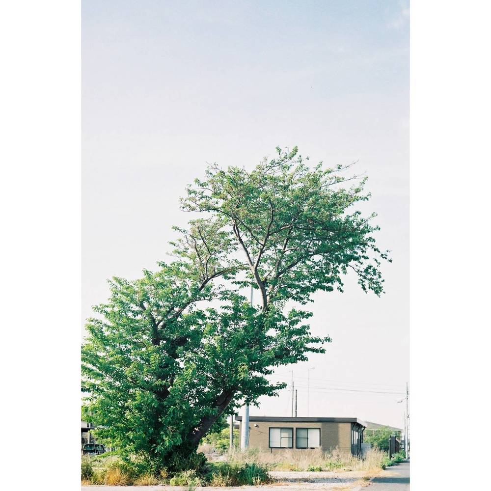 ブログ写真