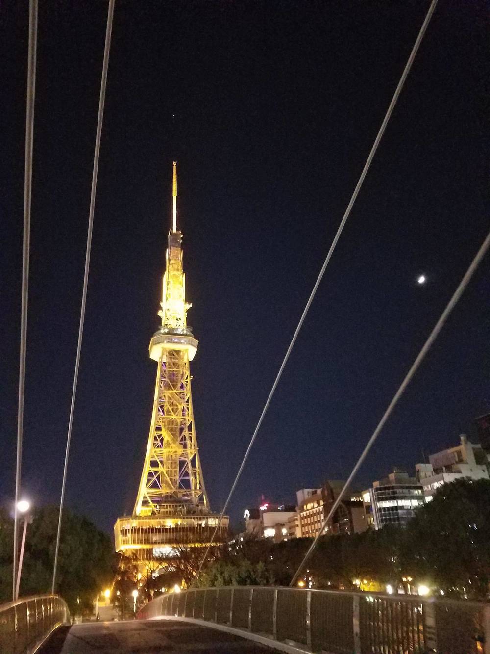 ブログ写真