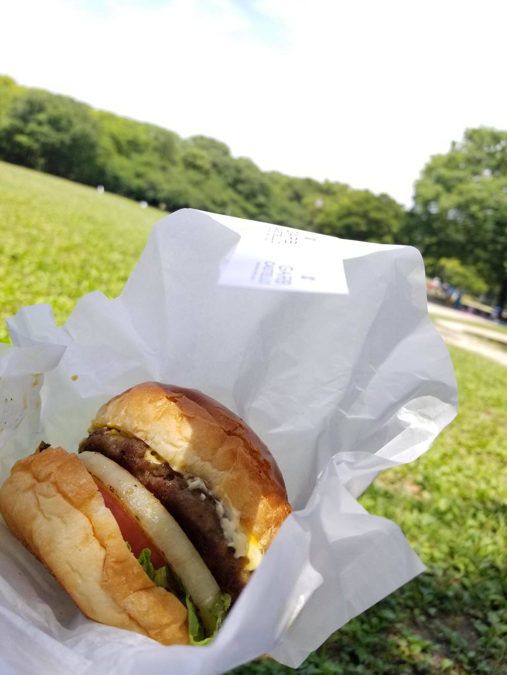 ブログ写真