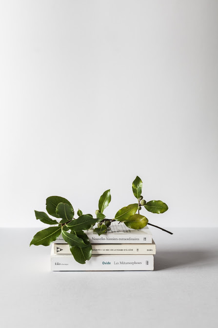 ブログ写真