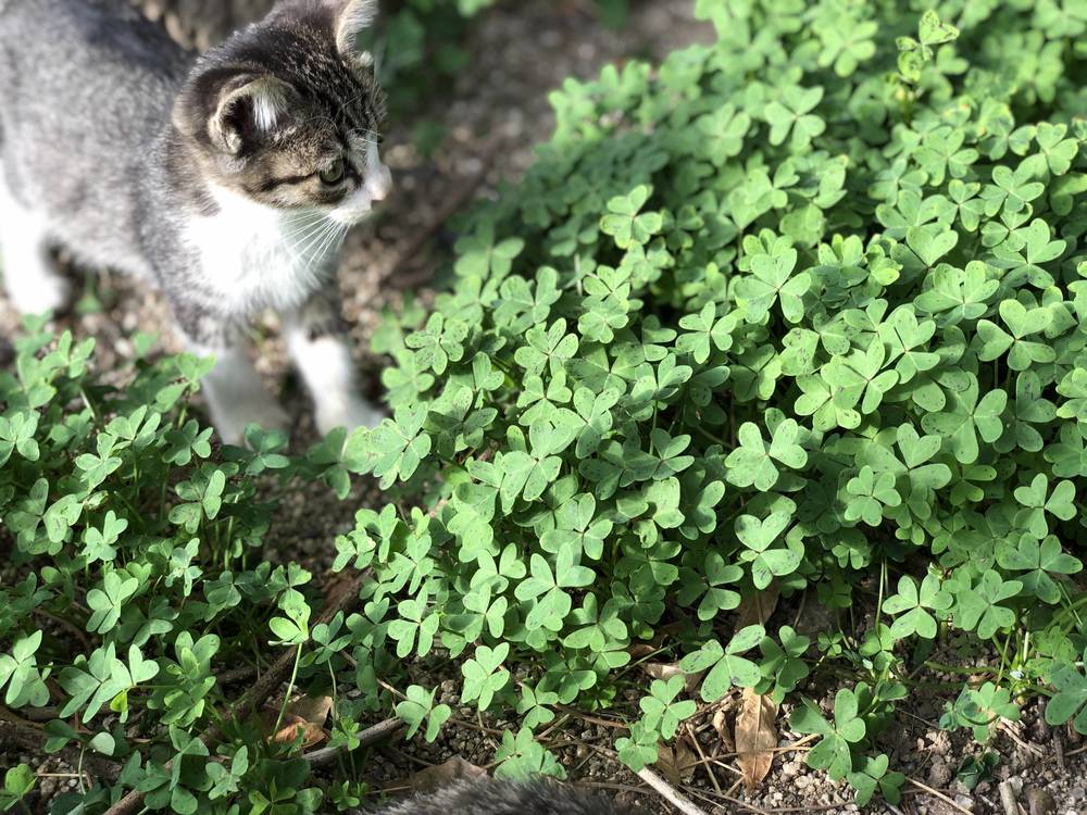 ブログ写真