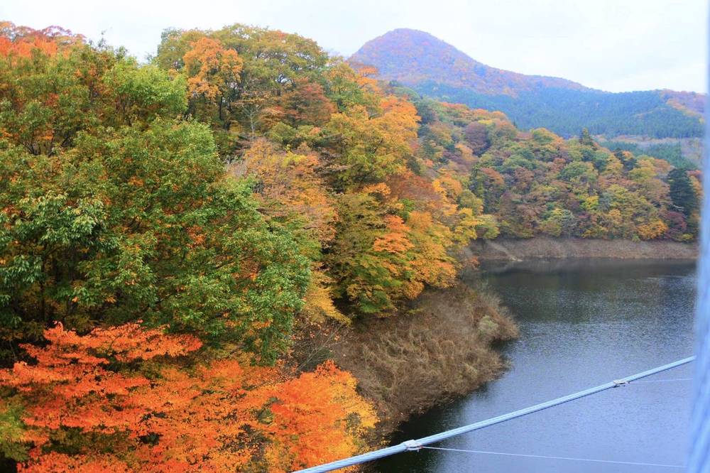ブログ写真