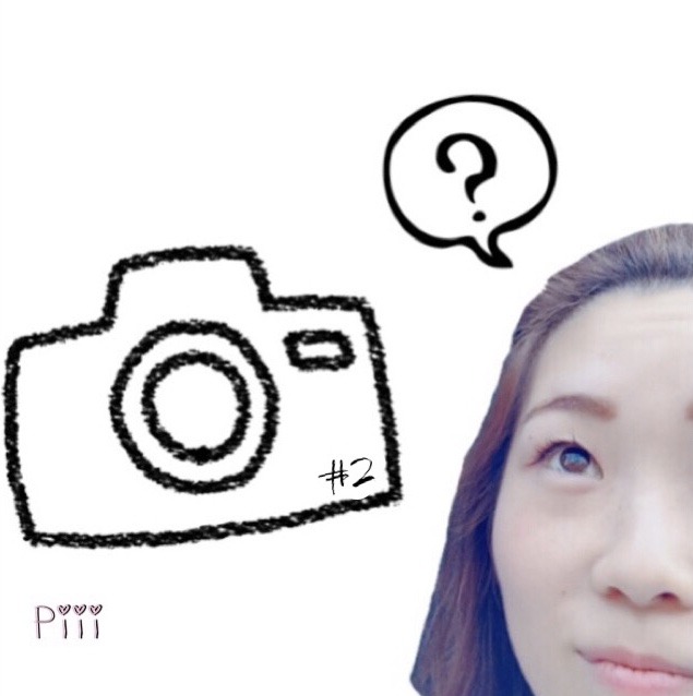 ブログ写真