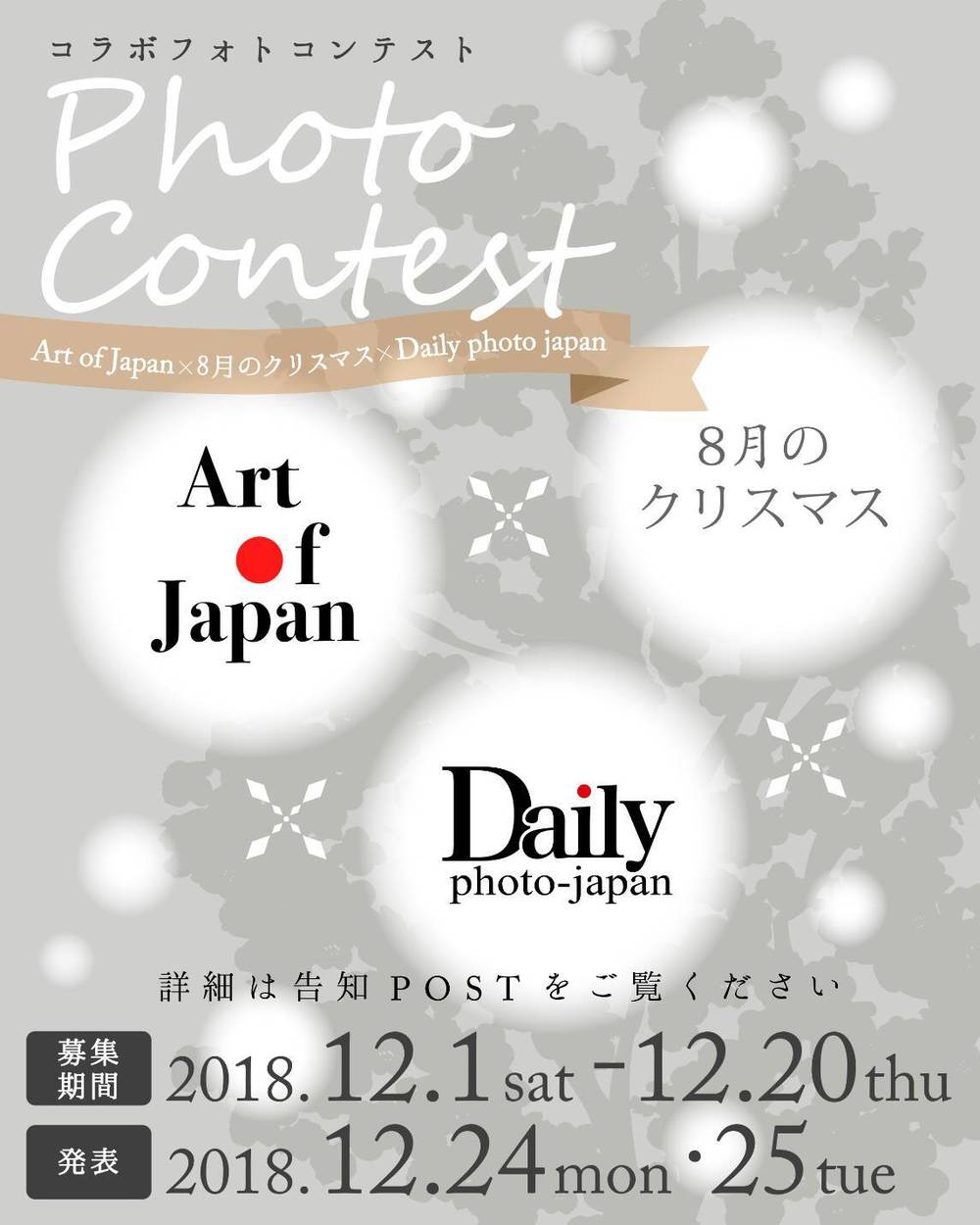 ブログ写真