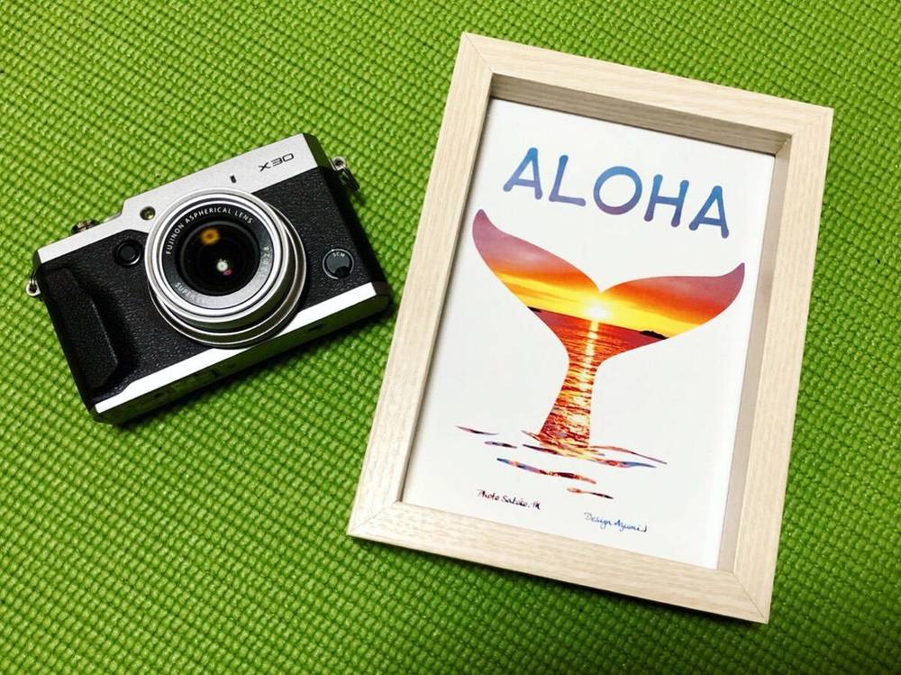 ブログ写真