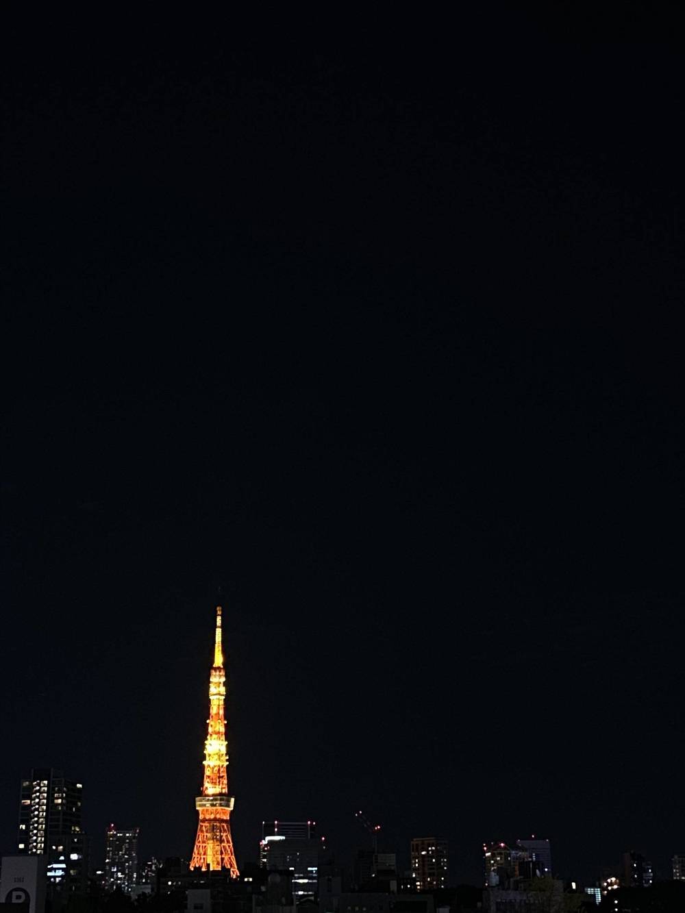 ブログ写真