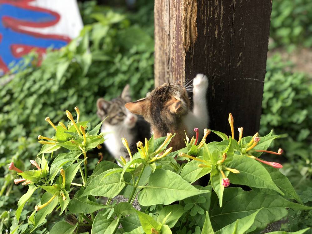 ブログ写真