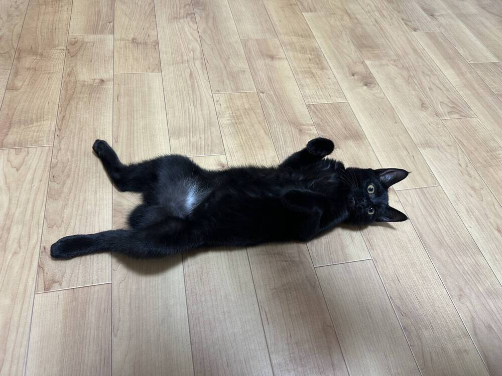 ブログ写真
