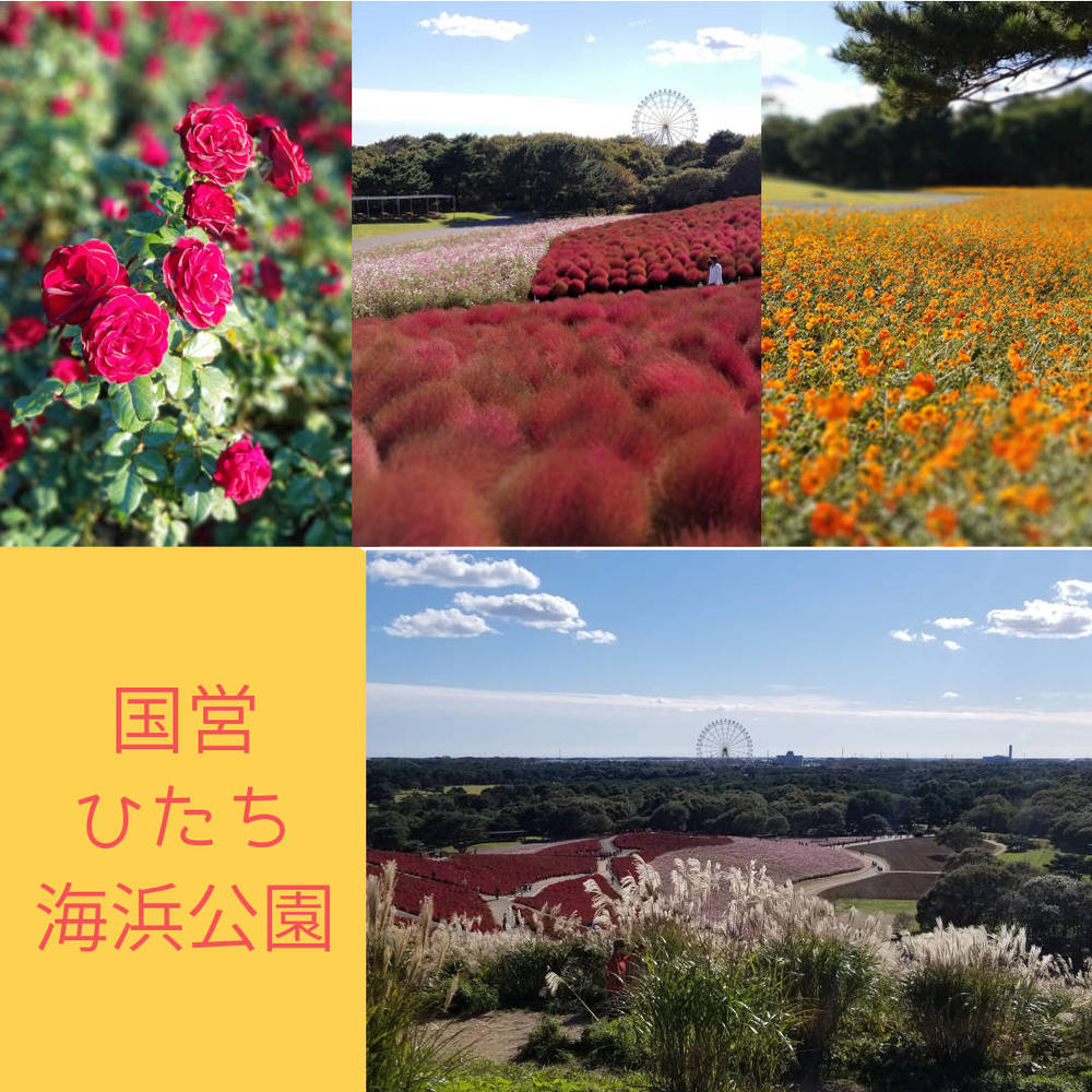 ブログ写真