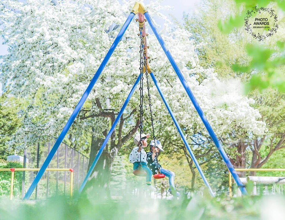 ブログ写真