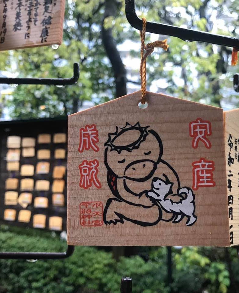 ブログ写真