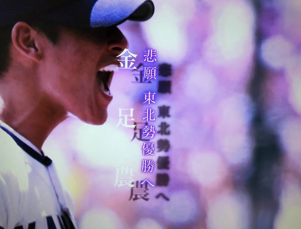 ブログ写真