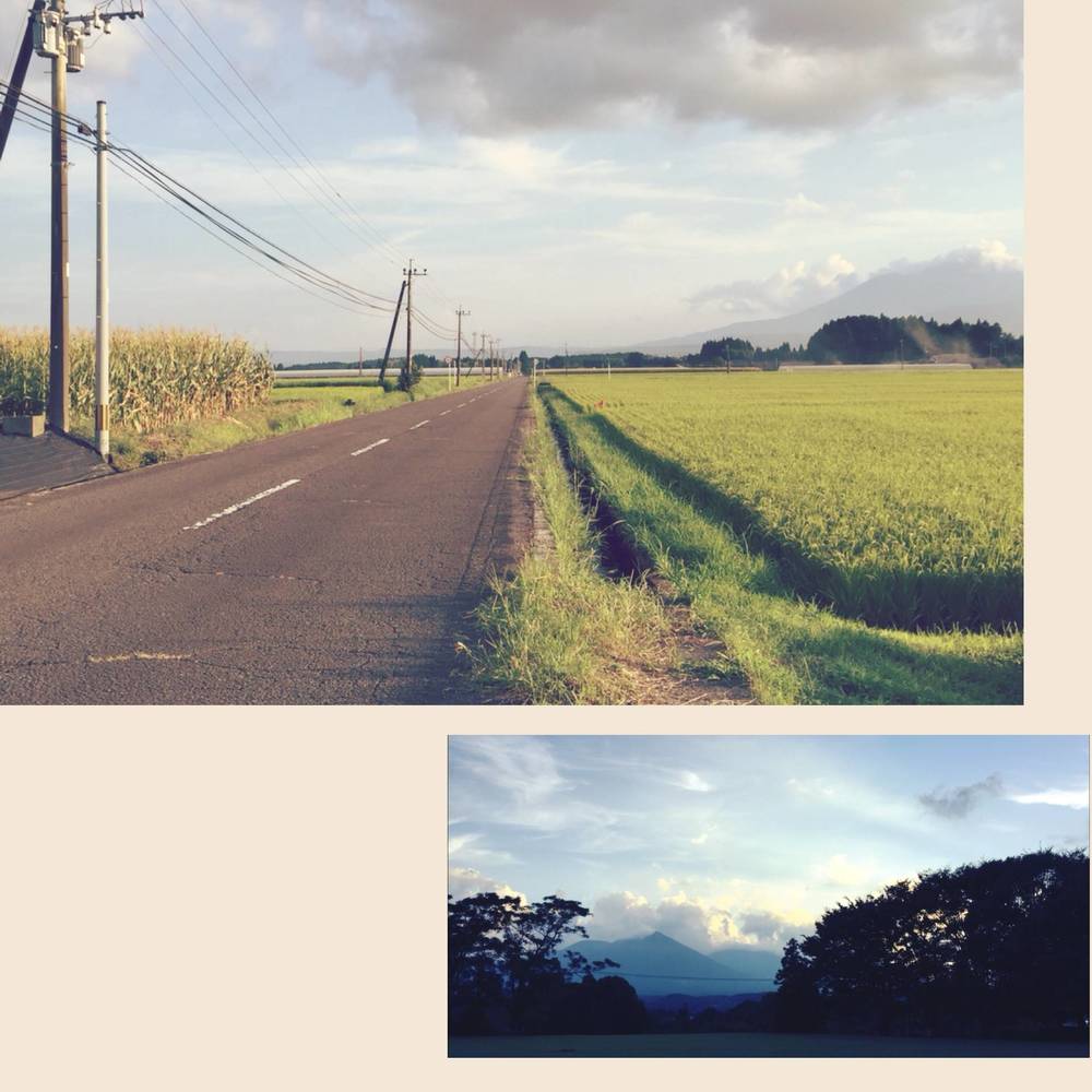 ブログ写真