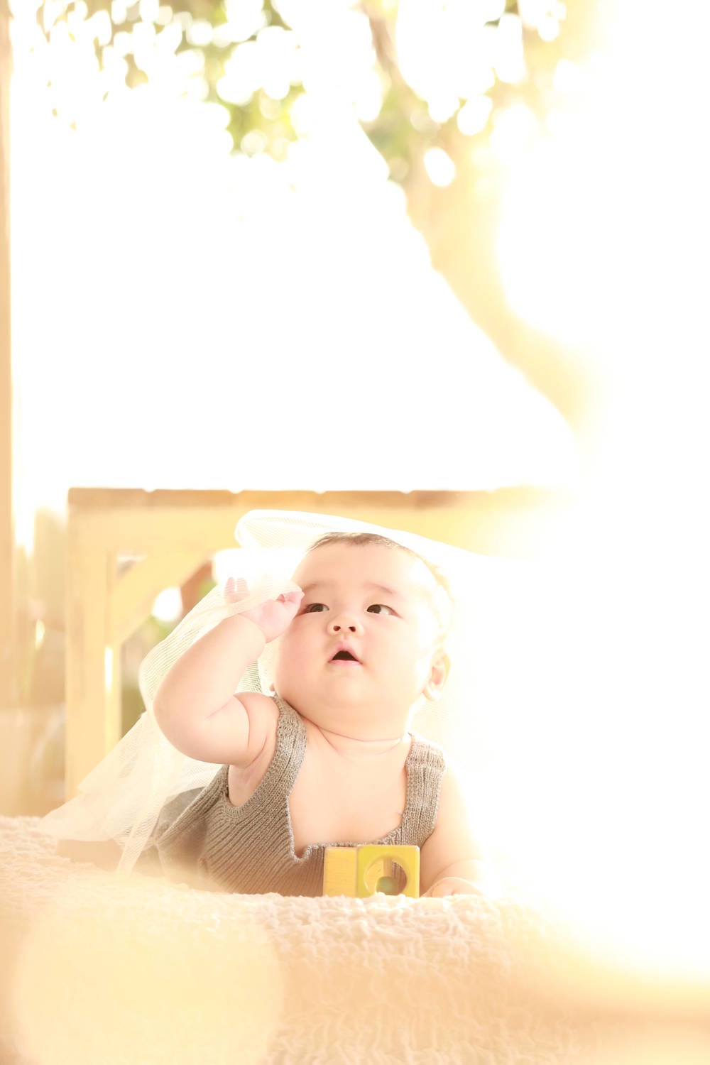 ブログ写真