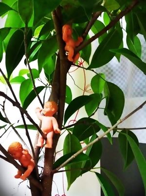 ブログ写真