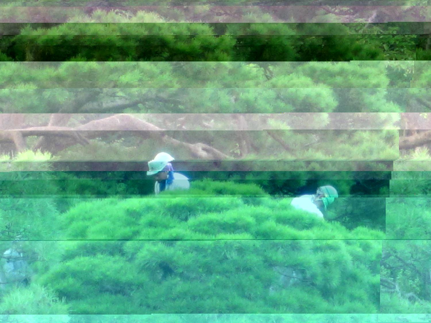 ブログ写真