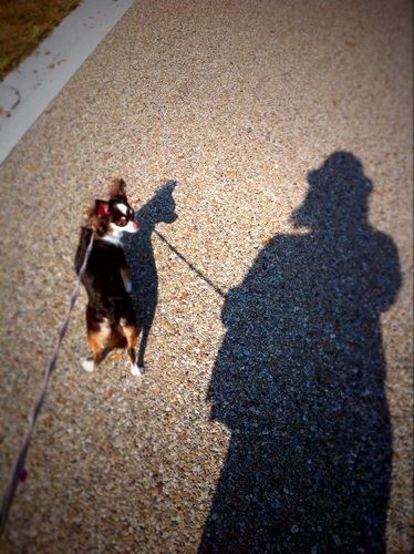ブログ写真