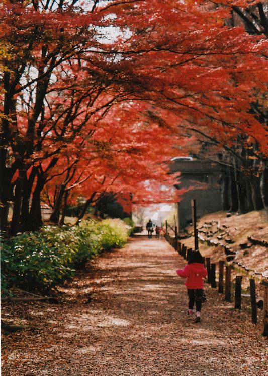 ブログ写真