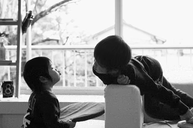 ブログ写真