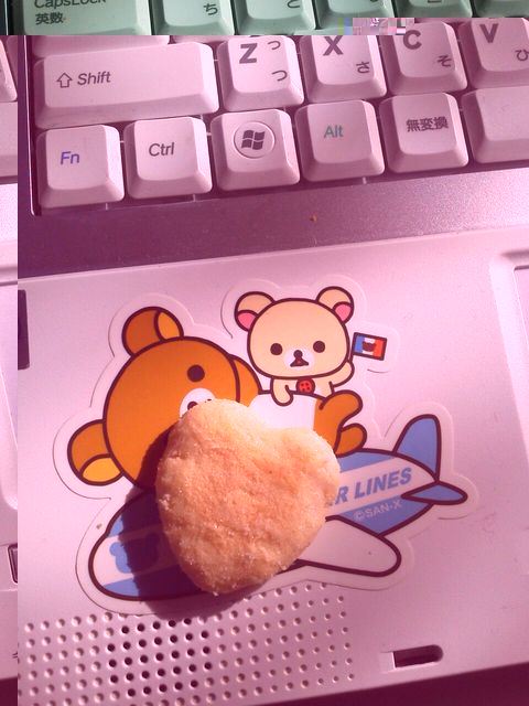 ブログ写真